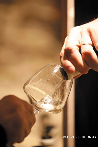 GJB2010-Chassagne31