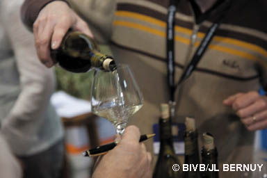 GJB2010-Mercurey03