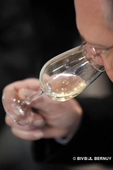 GJB2010-Mercurey31