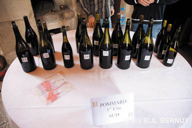 GJB2010-Pommard23